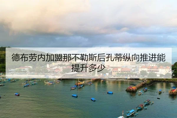 de-bu-lao-nei-jia-meng-na-bu-le-si-hou-kong-di-zong-xiang-tui-jin-neng-ti-sheng-duo-shao-2-141.jpg