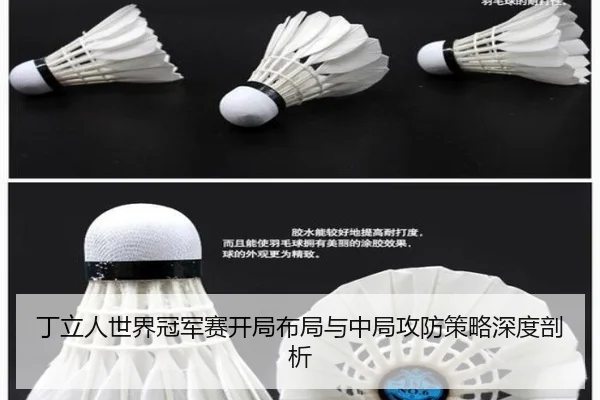 ding-li-ren-shi-jie-guan-jun-sai-kai-ju-bu-ju-yu-zhong-ju-gong-fang-ce-lve-shen-du-pou-xi-3-802.jpg