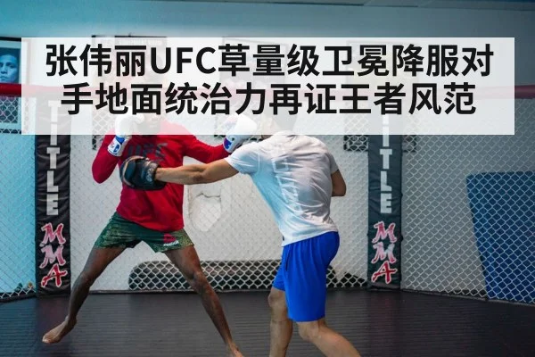 UFC ground control