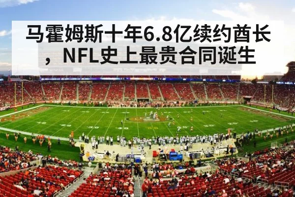 American football stadium crowd
